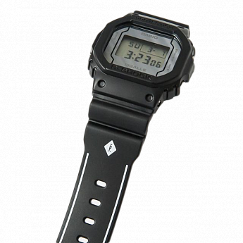DW-5600PGB-1E
