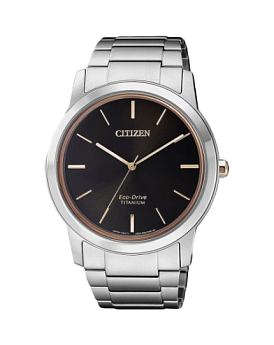 AW2024-81E