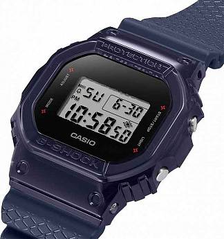 DW-5600NNJ-2