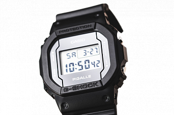 DW-5600PGB-1E