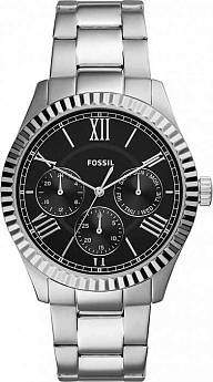 FS5631